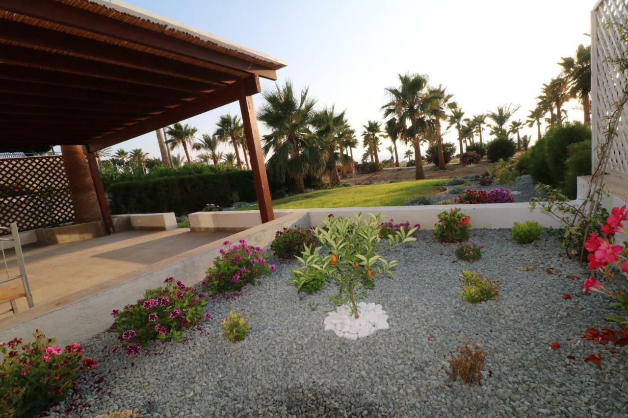 Yulya Villa By Taimoura Paphos Exteriér fotografie