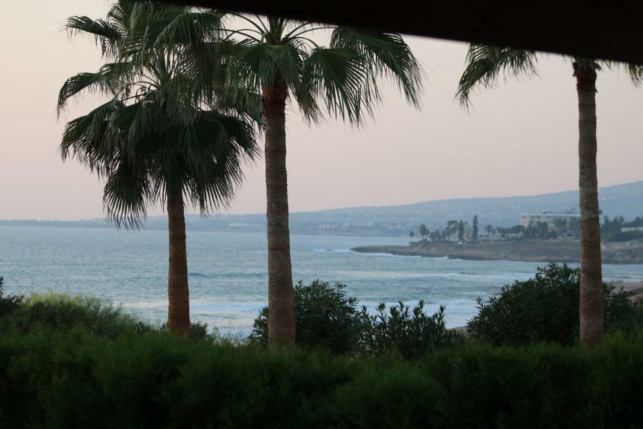 Yulya Villa By Taimoura Paphos Exteriér fotografie