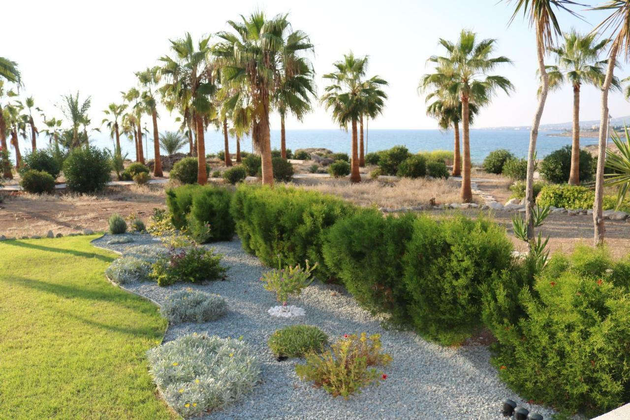 Yulya Villa By Taimoura Paphos Exteriér fotografie